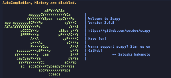 Scapy Module